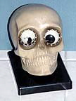Rotating Eye Skull - circa 1935